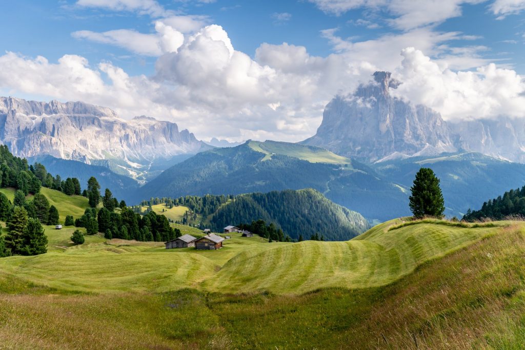 ALPE DI SUISI Dolomites Italy